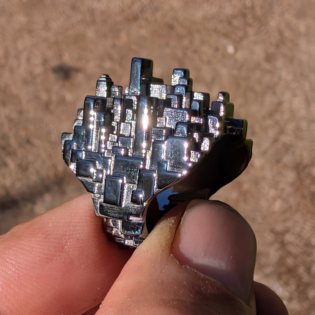 gros plan sur une bague en platine noir, elle est photographiée à l'exterieur, en plein soleil, et tenue dans mes doigts, pouce index. Le fond est flou. La bague est brillante et sombre a la fois. Eclairage naturel